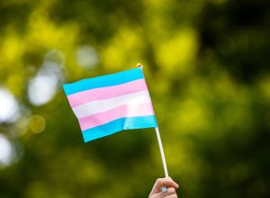 bandeira_trans.jpg